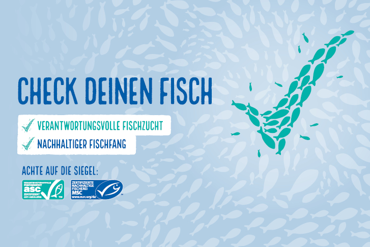 Keyvisual zur Aktion Check deinen Fisch Keyvisual zur Aktion Check deinen Fisch