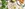 Tafelspitzcarpaccio und paniertes Kalbsbries vom QSFP Tiroler Milchkalb an Kartoffelstampf Tafelspitzcarpaccio und paniertes Kalbsbries vom QSFP Tiroler Milchkalb an Kartoffelstampf
