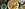 FrischeParadies CookUp Japan FrischeParadies CookUp Japan