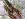 High Pressure Lobster aus Kanada High Pressure Lobster aus Kanada