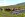 Irische Rinder Irische Rinder