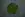 Produktbild des Zitronenthymian