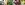 Vegetarische Vegane Variationen Vegetarische Vegane Variationen
