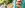 Soufflierter QSFP Glen Douglas Lachs mit Tagliatelle, Mönchsbart und Zitronenschaum Soufflierter QSFP Glen Douglas Lachs mit Tagliatelle, Mönchsbart und Zitronenschaum
