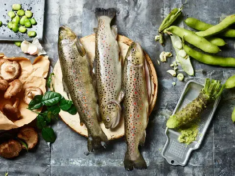 Gebratene QSFP Bachforellenfilets an Bohnen im Knoblauchsud und Wasabischaum Gebratene QSFP Bachforellenfilets an Bohnen im Knoblauchsud und Wasabischaum