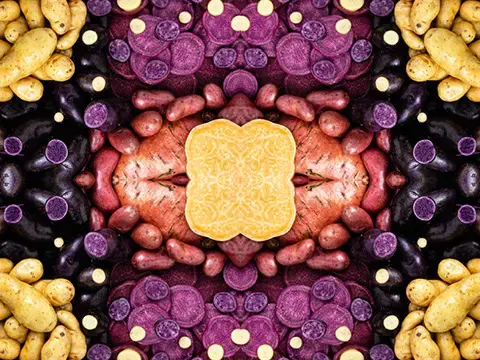 Übersicht des Kartoffeln Sortiments