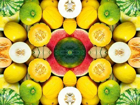 Übersicht des Melonen Sortiments Übersicht des Melonen Sortiments