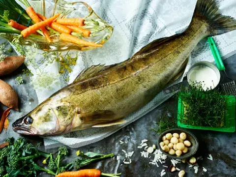 Qualitätssiegel FrischeParadies Fisch aus deutschen Gewässern
