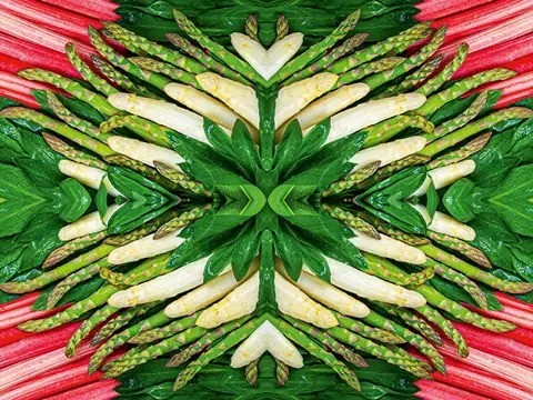 Übersicht des Spargel Sortiments