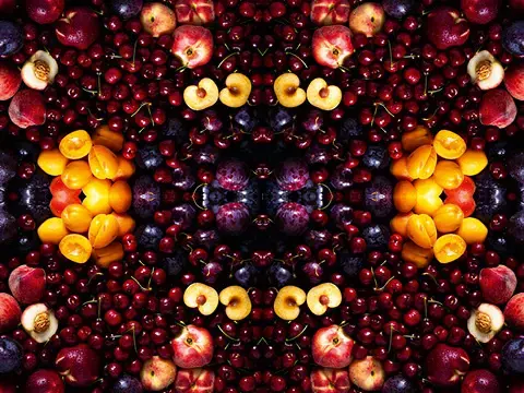 Übersicht des Steinobst Sortiments Übersicht des Steinobst Sortiments