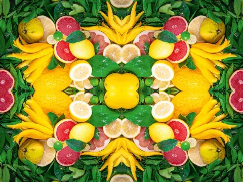 Übersicht des Zitrusfrüchte Sortiments Übersicht des Zitrusfrüchte Sortiments