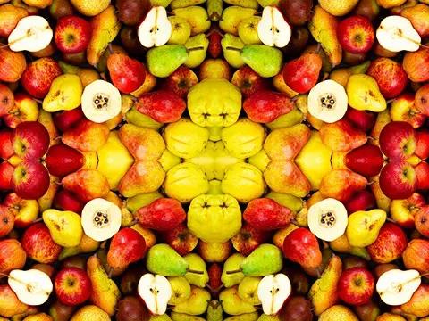 Übersicht des Äpfel und Quitten Sortiment