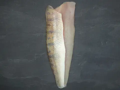 Produktbild des Zanderfilet Produktbild des Zanderfilet