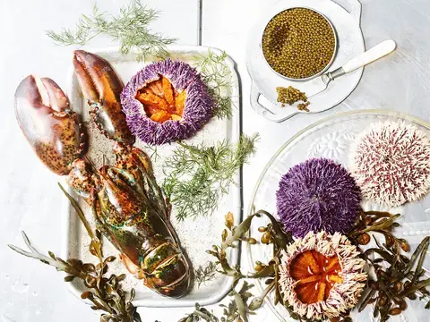 Hummer mit mariniertem Seeigel, Spinatcrêpes und Kaviar Hummer mit mariniertem Seeigel, Spinatcrêpes und Kaviar