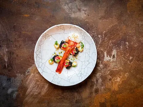 Rotgarnele mit weißem Espuma Rotgarnele mit weißem Espuma