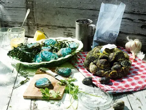 Vongole und Abalone mit schwarzem Venere Reis
