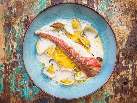 Knurrhahn im Ganzen gegrillt mit Safranfenchel und Tomatenschaum Knurrhahn im Ganzen gegrillt mit Safranfenchel und Tomatenschaum