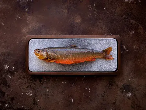 Räucherfisch Räucherfisch