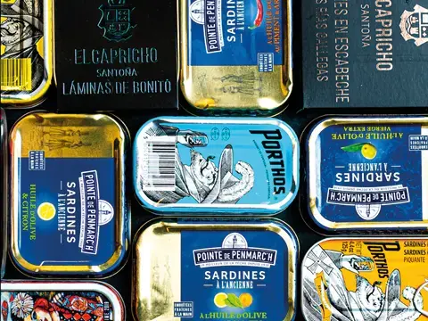 Sardinendosen
