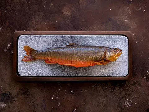 Räucherfisch Räucherfisch