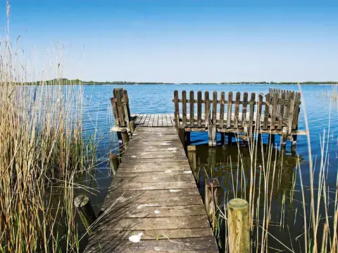 steg im Schilf am See steg im Schilf am See