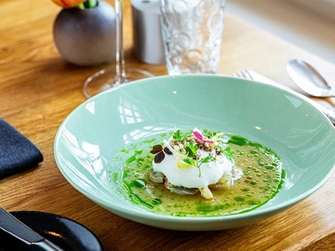 Zander & Molke mit Berliner Miso, Kohlrabi und Kräutern Zander & Molke mit Berliner Miso, Kohlrabi und Kräutern