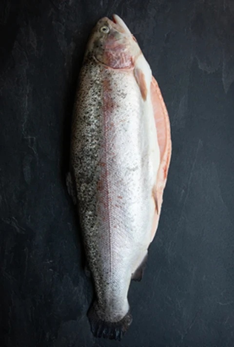 Produktbild Glen Douglas Lachsforelle