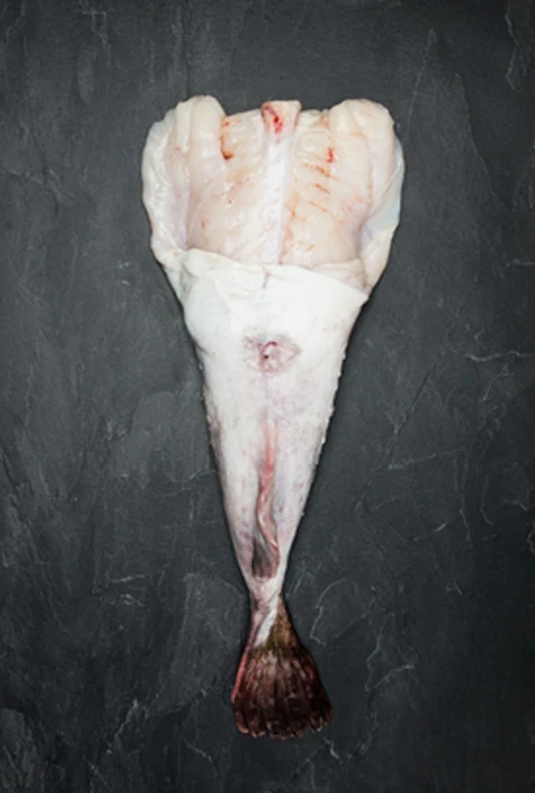 Produktbild Seeteufel