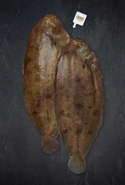 Produktbild Seezunge